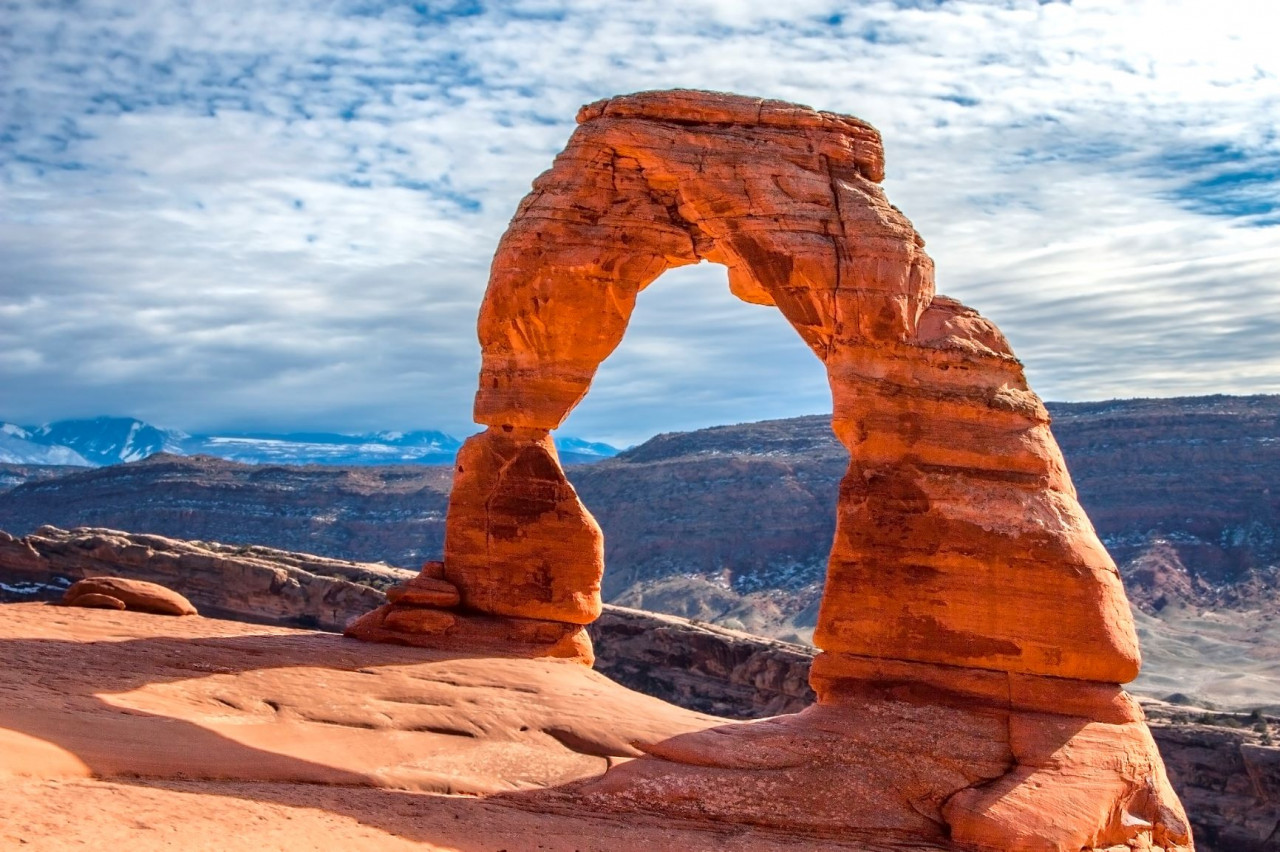 トマトツアー株式会社