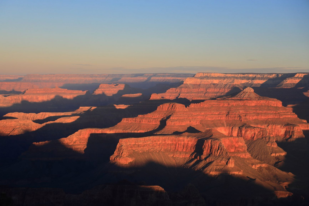 トマトツアー株式会社
