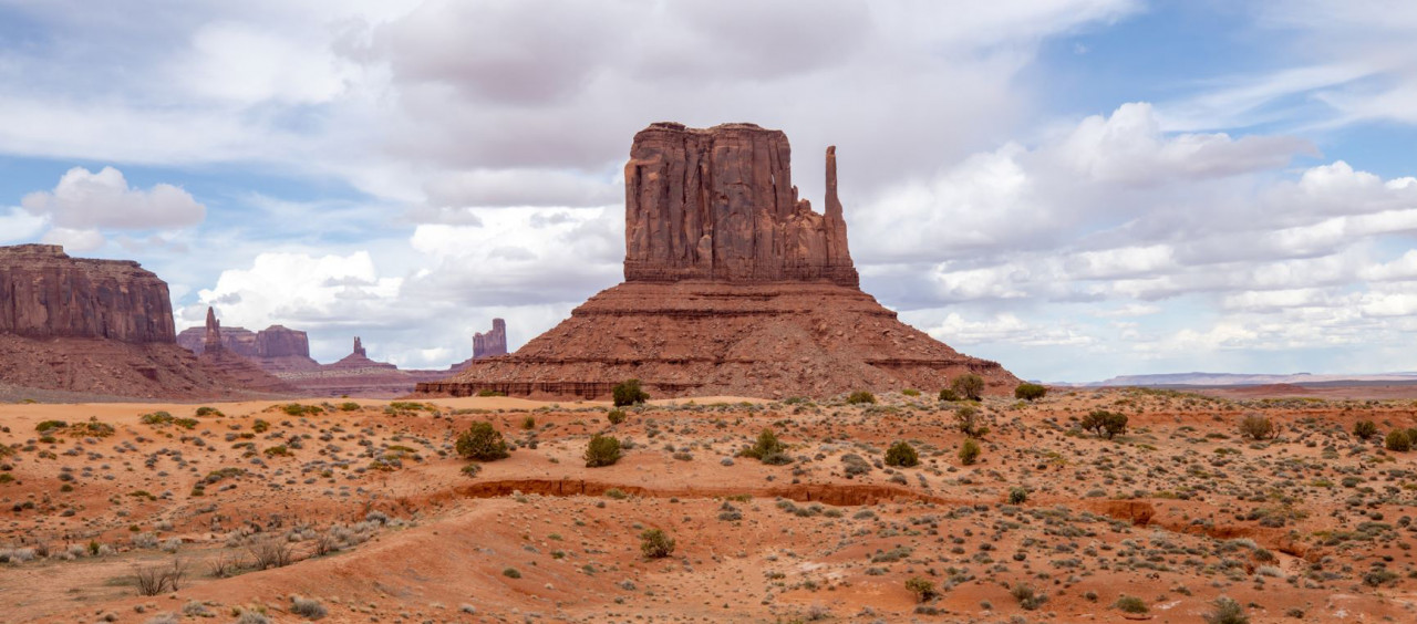 トマトツアー株式会社